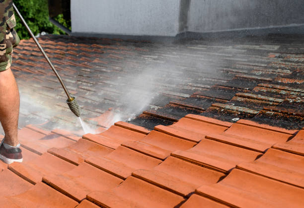 Best Deck Cleaning Services  in Hart, MI