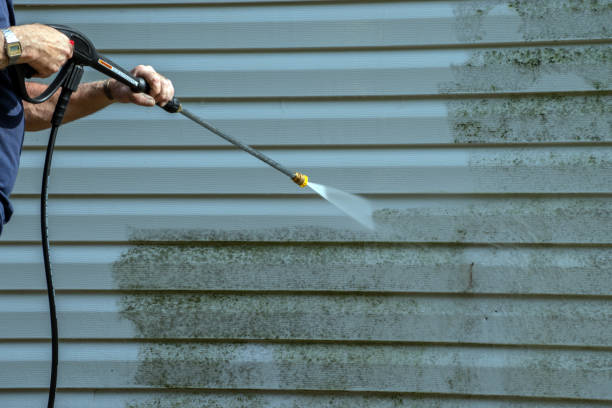 Best House Pressure Washing  in Hart, MI